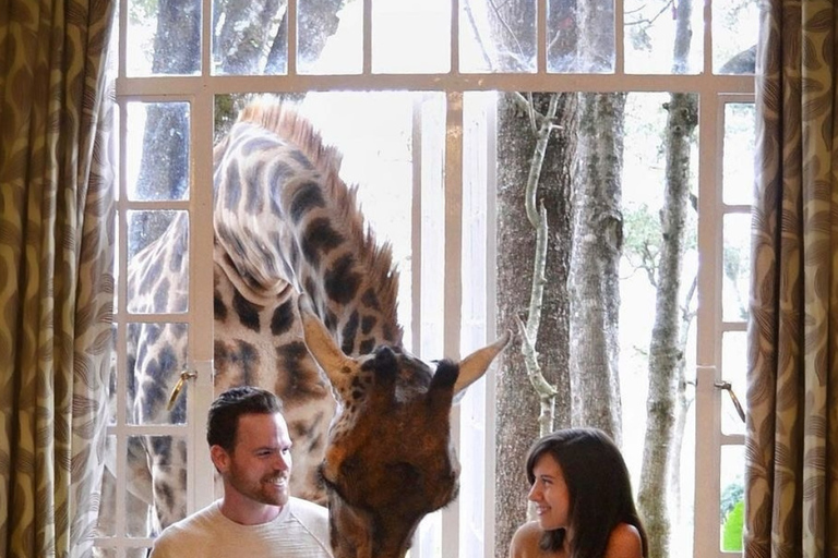 Nairobi: Giraffes, Art, and Hidden Cafés Tour with Lunch