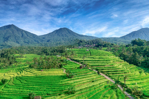 Bali: Jatiluwih e-bike- en trektocht van een hele dagBali: Jatiluwih Full-Day E-Bike en Trekking Tour