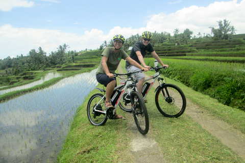 Bali: tour a pie y en bici eléctrica por Jatiluwih