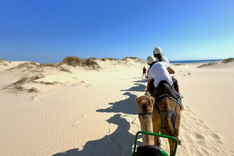 Hunter Valley Winery, Port Stephens Sand Dunes Adventures Winery Experience, Meet at Furama Darling Harbour