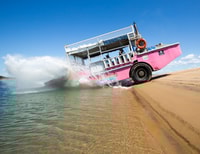 Town 1770, Tour am Nachmittagsküste - Housity