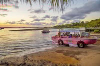 Town 1770, Tour am Nachmittagsküste - Housity