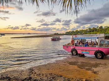 Town 1770: Afternoon Coastline Tour