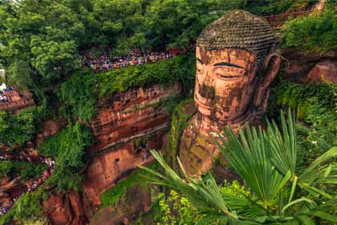 Chengdu Panda Center & Leshan Giant Buddha Full–Day Bus Tour