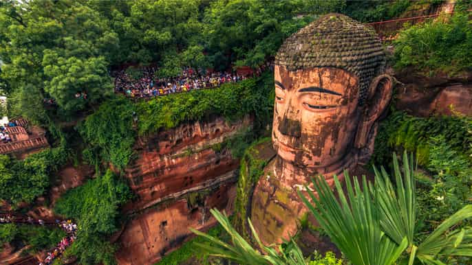 chengdu panda center leshan giant buddha full–day bus tour