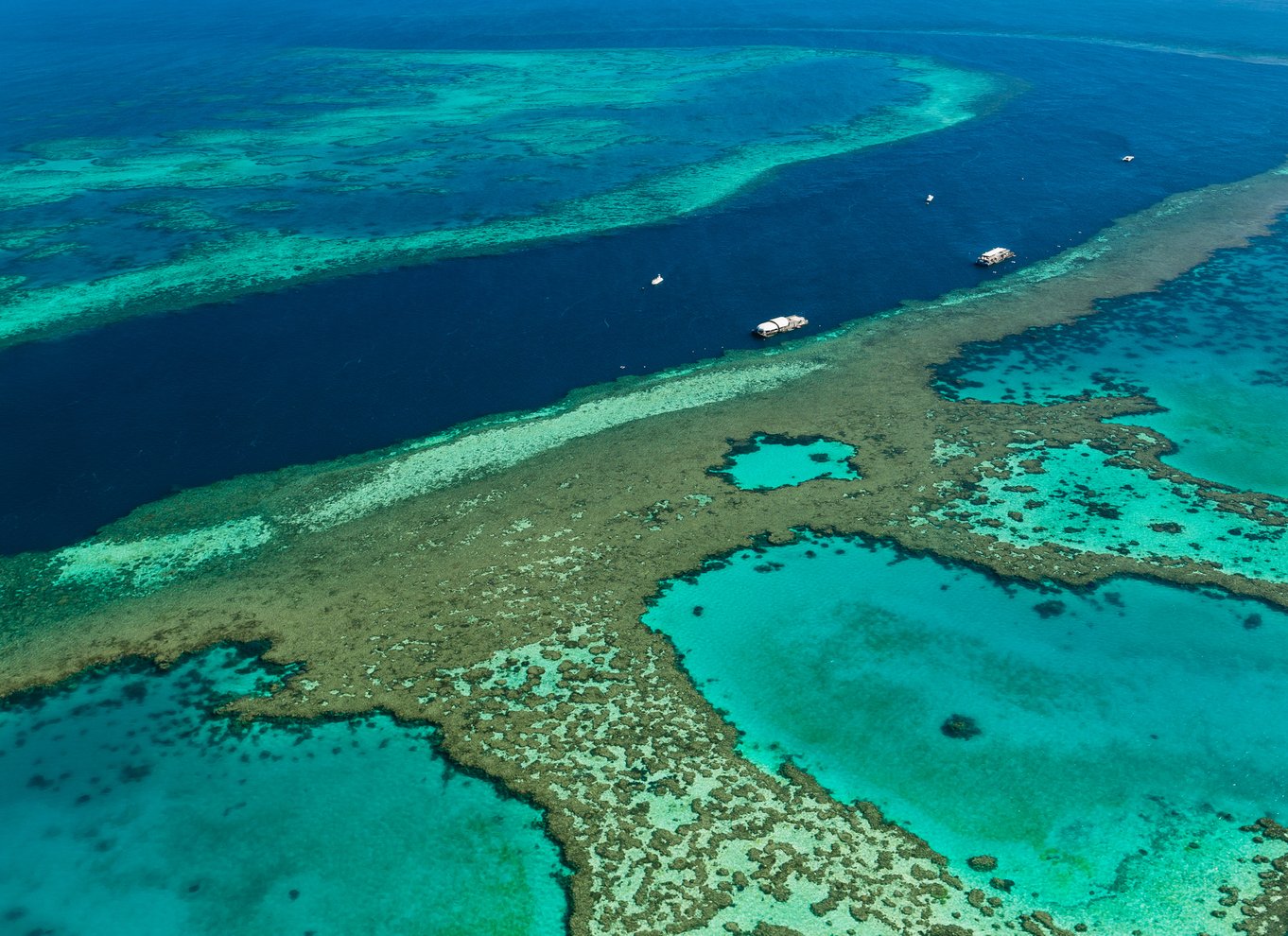 Fra Airlie Beach: Whitsundays Scenic Flight med afhentning