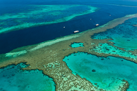 From Airlie Beach: Whitsundays Scenic Flight with Pickup