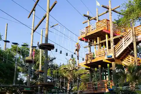 Cocoa Beach: Aerial Adventure Park Ticket