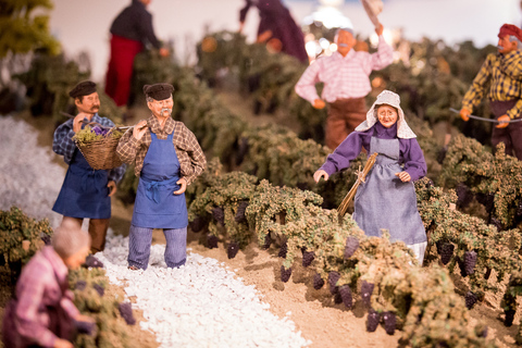 Domaine Bacchus: miniature vineyard & Champagne tasting