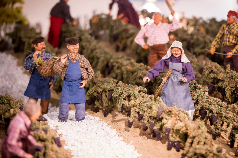 Domaine Bacchus: miniature vineyard & Champagne tasting