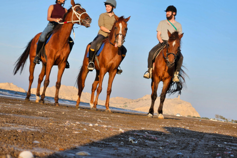 Ridning Oman