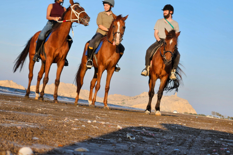 Paardrijden Oman