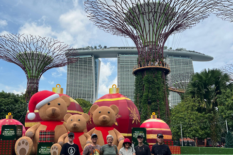Singapura: Tour particular de carro com guia local