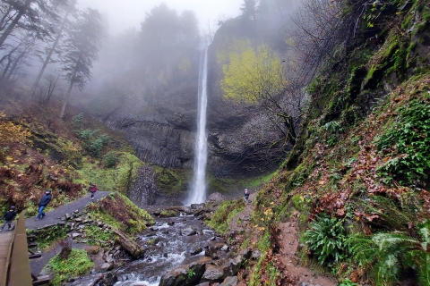 Columbia River Gorge Half-Day Small-Group Hiking Tour Portland: Columbia River Gorge Half-Day Small-Group Hiking