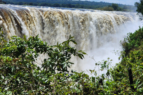 Victoria Falls Guided Walking Tour: Zimbabwe & Zambia