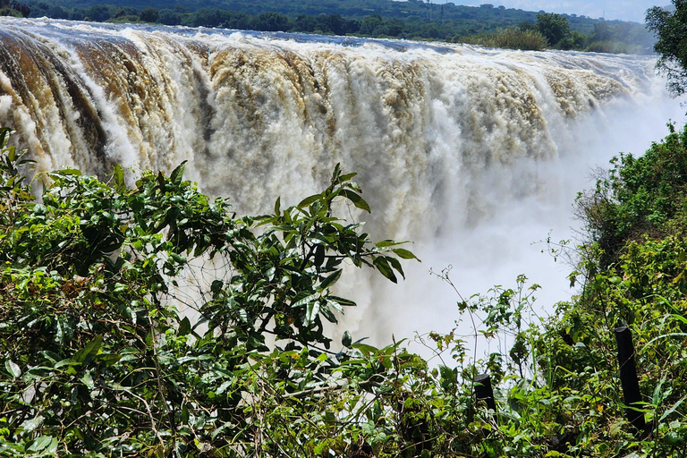 Victoria Falls Guided Walking Tour: Zimbabwe & Zambia
