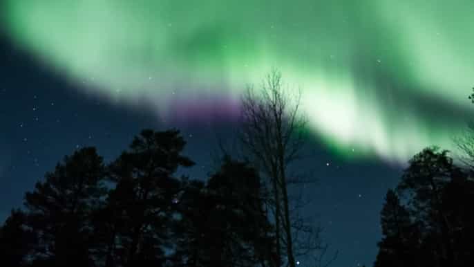 from rovaniemi northern lights sleigh ride