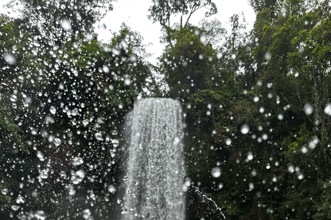 Cairns: 2-Day Atherton Tablelands & Cape Tribulation Tour