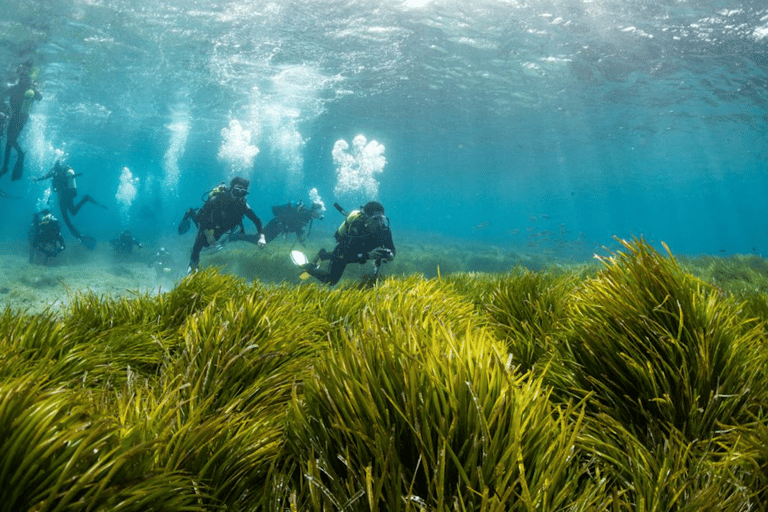 Formentera: Try Diving Experience in the Natural Park