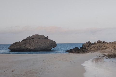 Salalah: City Highlights Guided Tour Alfizayah Salalah private tour Alfazayah Beach