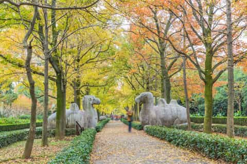 nanjing sun–yat sen mausoleum tombs and massacre hall tour