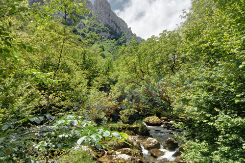 Rotas familiares: a natureza como um playground