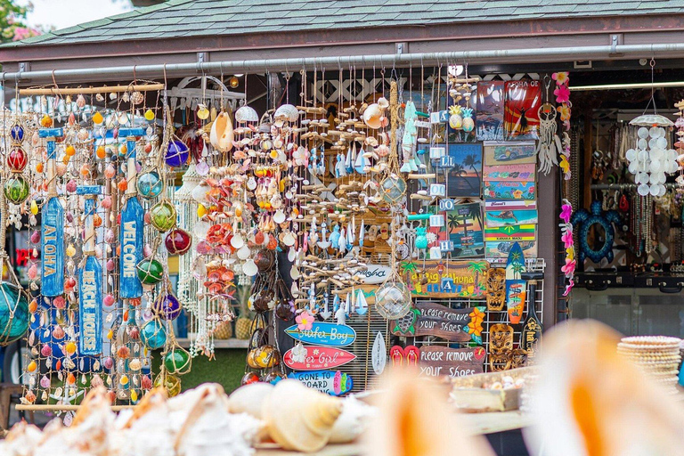 Oahu: Haleiwa &amp; Dole Plantation Deluxe Tour