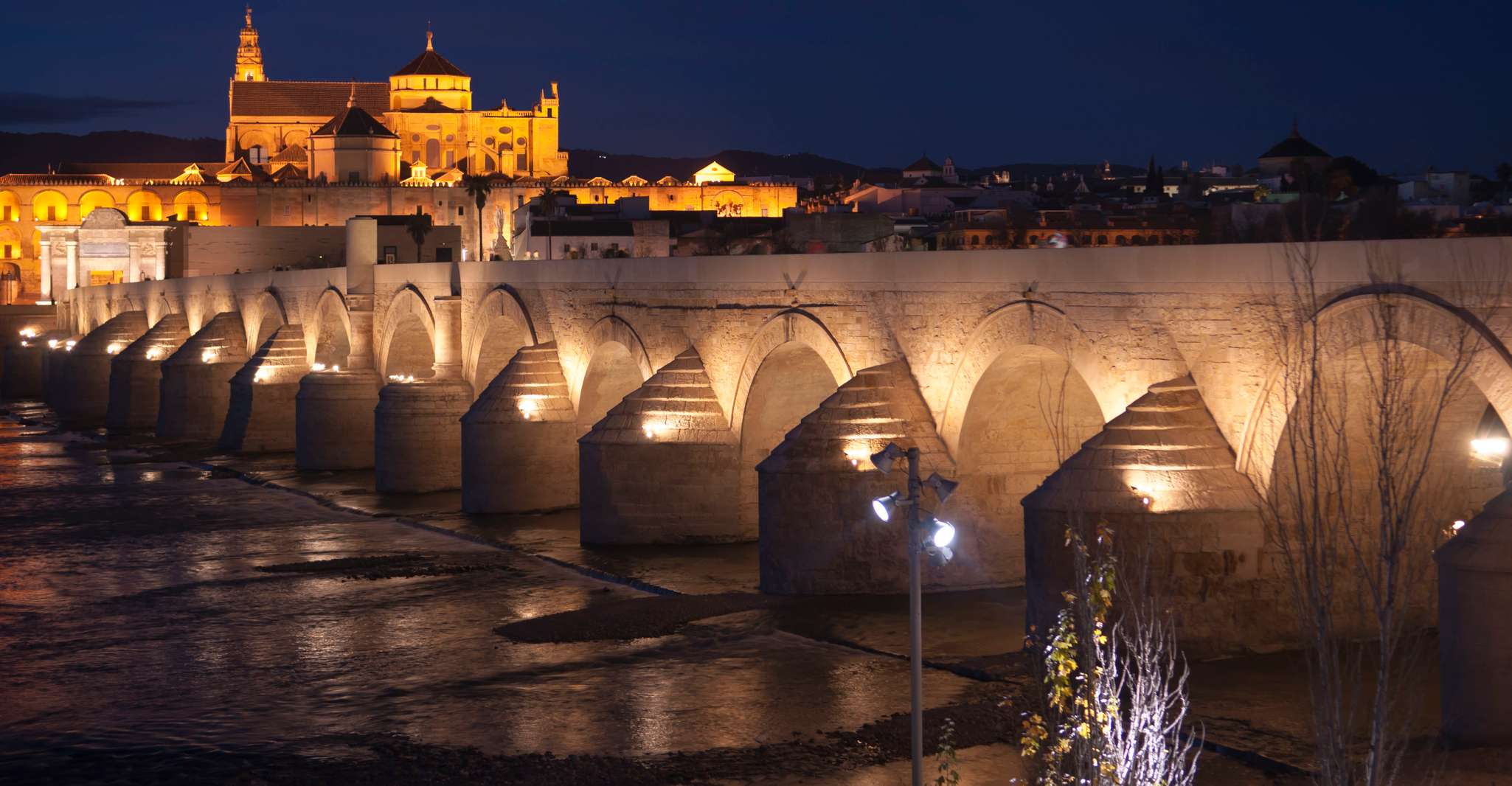 De Sevilla, privado o grupal de día completo Córdoba Tour - Housity