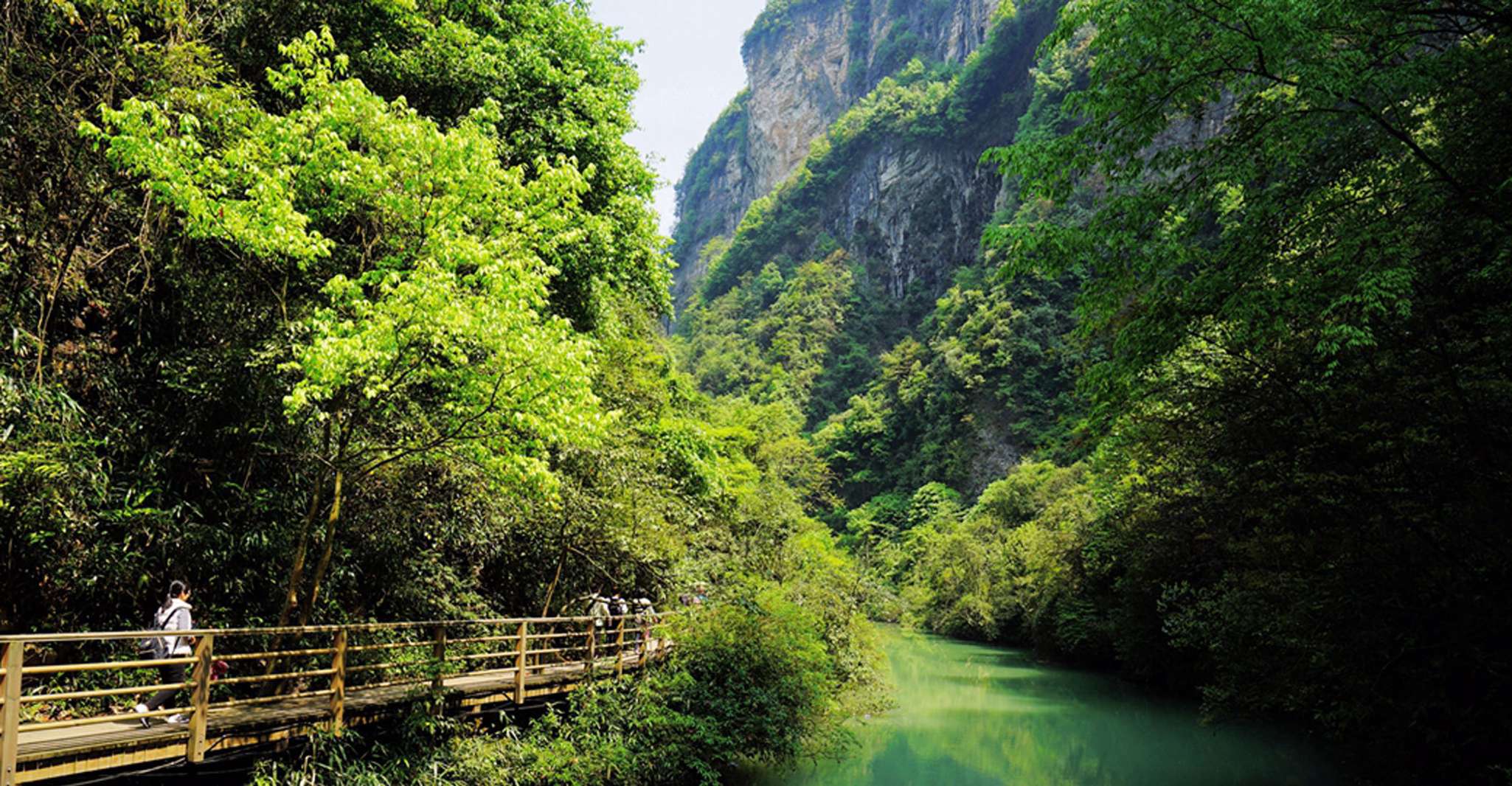 Visite privée du Grand Canyon de Zhangjiajie avec pont en verre - Hizvo