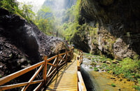 Tour privato di Zhangjiajie Grand Canyon con ponte di vetro - Hizvo