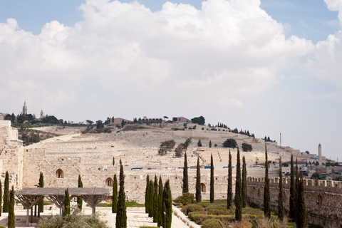 Desde Jerusalén: tour de día completo por la ciudad vieja y el mar MuertoTour francés