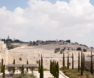 From Jerusalem: Old City & Dead Sea Full-Day Tour