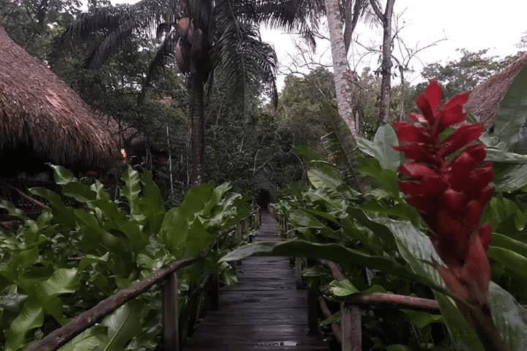 San Cristobal : Tournée du café dans les montagnes du Chiapas