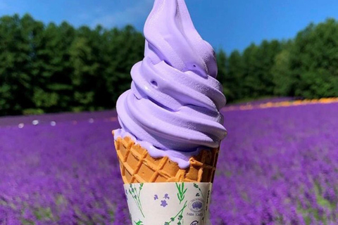 From Seoul: Full-Day Trip to Pocheon`s Nature Attractions Meeting Point: Hongik Univ. Station Exit No.8