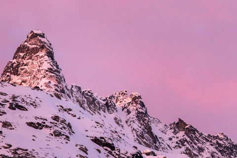 Tromsø: Kvaløya Island and Fjords Tour