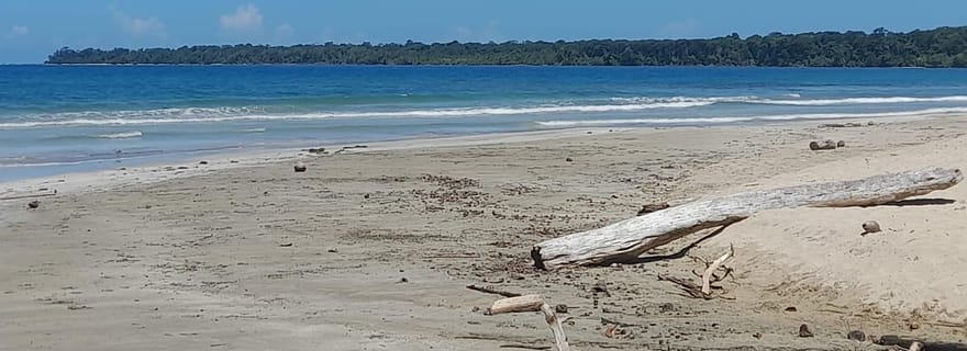 Parc national de Cahuita : visite guidée avec Pablo