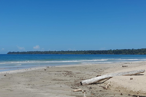 Cahuita nationalpark : guidad tur med Pablo