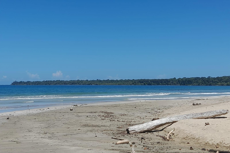 Parque nacional de Cahuita: guia de turismo com PabloParque nacional de Cahuita: tour guiado com Pablo