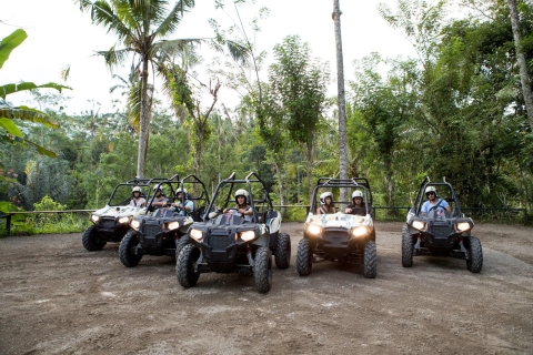 Bali : Aventure en buggy dans la jungleAventure en buggy dans la jungle : solo