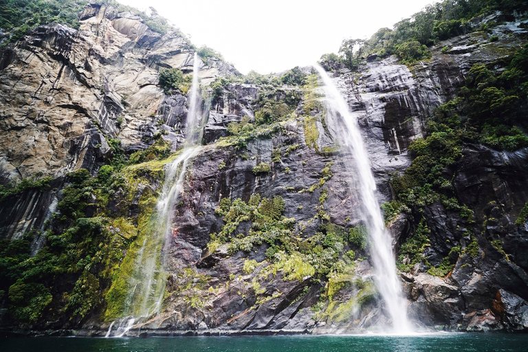 Milford Sound: Premium Small Group Tour from Queenstown From Queenstown: Small Group Tour with Glass Roof