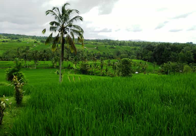 photo-gallery
