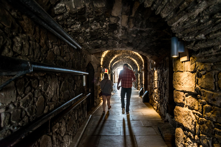 De Edimburgo: Excursão a Loch Lomond, Kelpies e Castelo de StirlingDe Edimburgo: Lago Lomond, Kelpies e Castelo de Stirling