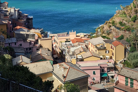 Desde Florencia: Tour en grupo reducido de un día a Cinque Terre y Pisa