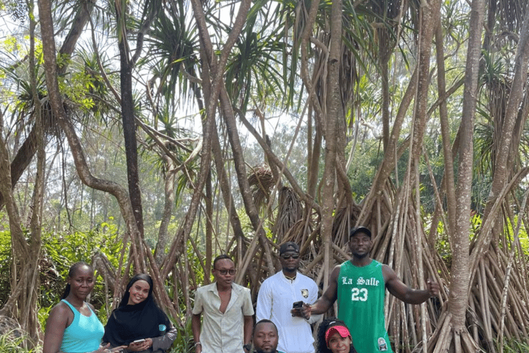 Mombasa: Stadtführung, Foodtour, kulturelle Tour