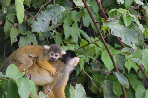 FULL DAY LAKE SANDOVAL & THE MONKEY HOUSE