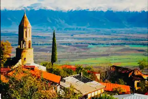Kakheti: La culla del vino della Georgia Tour di un giorno - Gruppo