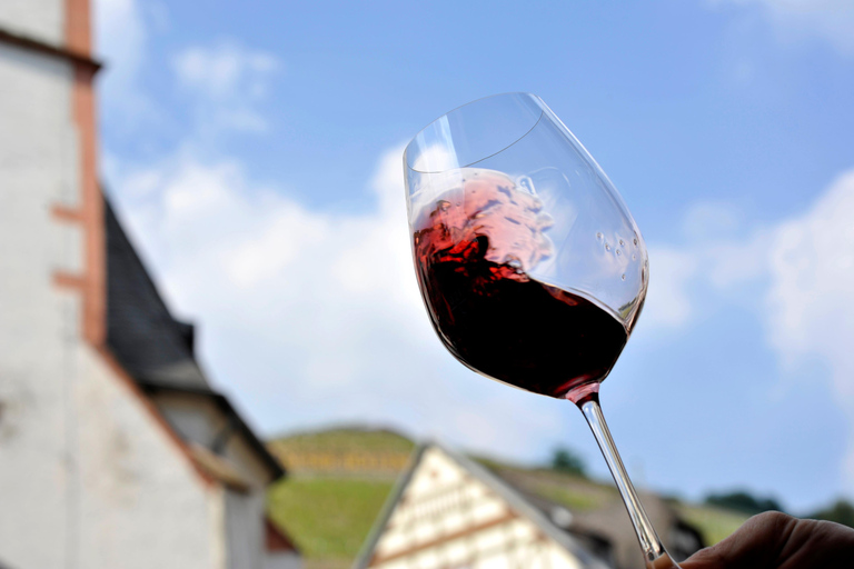 Rüdesheim - wine tasting in the historic vaulted cellar