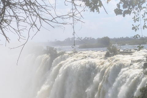 Livingstone: Victoria Falls Cross-Border Experience