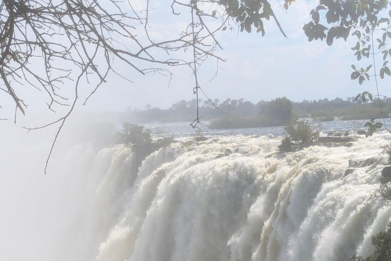 Livingstone: Victoria Falls Cross-Border Experience