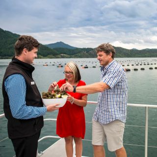 Havelock and Marlborough Sounds: Greenshell Mussel Cruise